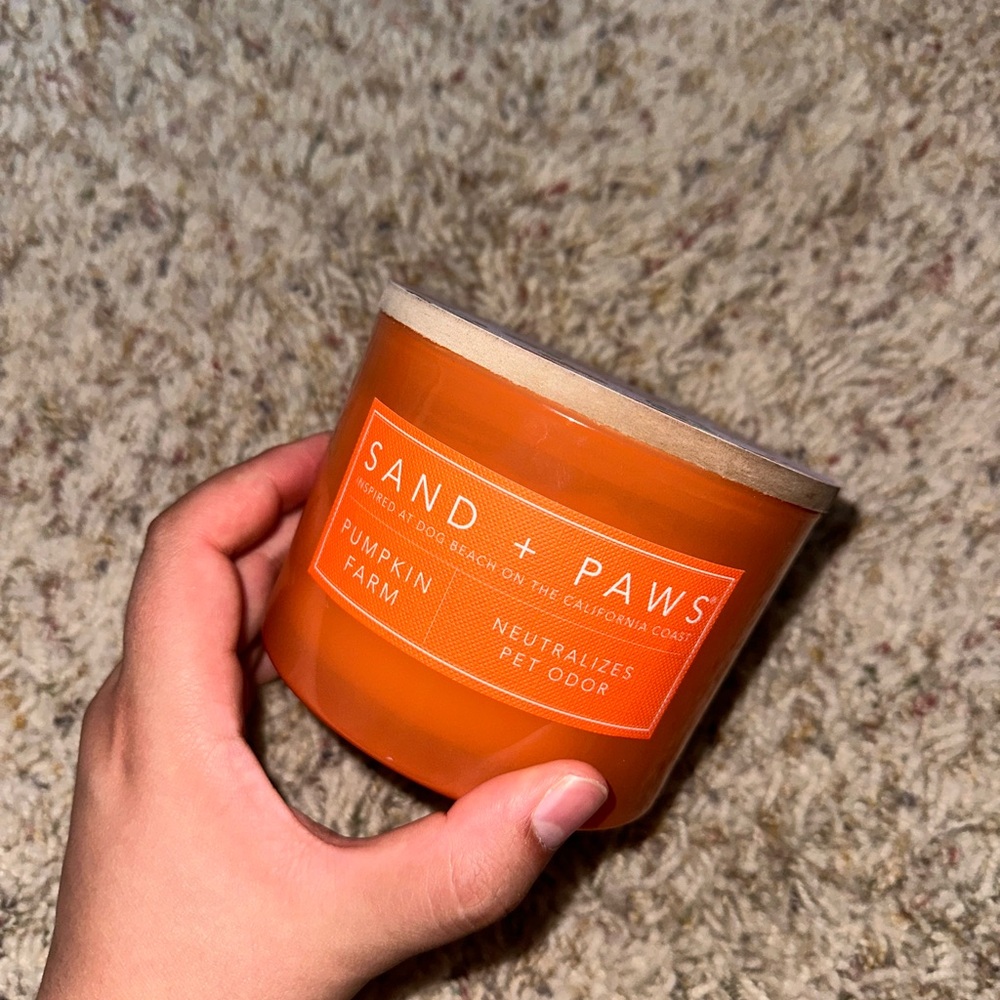 Sand and fog paws 🐾 pumpkin 🎃 farm holiday fall candle - Picture 8 of 9